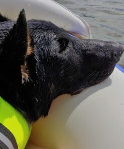 Sea Eagle SE370 Inflatable Sports Kayak -1-3 Person-Portable Stowable & Lightweight-with Seat(s), Paddle(s), Pump and Bag SE370 Sports Kayak Pro 46 71oFvl89iBL