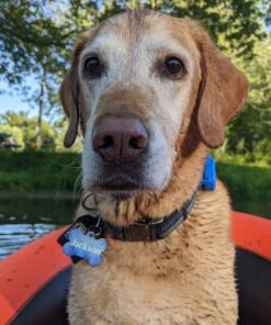 INTEX Explorer Inflatable Boat Series: Dual Air Chambers – Welded Oar Locks – Grab Handles – Bow Rope – Sporty Design Explorer 200 35 71oGa 98CtL