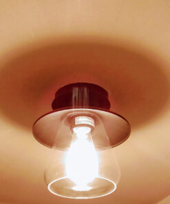 Globe Electric 64846 1-Light Semi-Flush Mount Ceiling Light, Oil Rubbed Bronze, Clear Glass Shade, Ceiling Light Fixture, Bedroom Lights for Ceiling, Dining Light Fixture, Bulb Not Included Oil-Rubbed Bronze 77 71oHYJZVMML