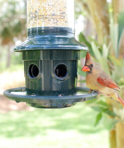 Squirrel Buster Plus Squirrel-proof Bird Feeder w/Cardinal Ring and 6 Feeding Ports, 5.1-pound Seed Capacity, Adjustable, Pole-mountable (POLE ADAPTOR SOLD SEPARATELY), Green 44 71oKOi0IVL