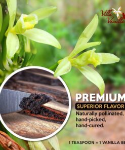 Villa Vainilla Pure Vanilla Extract Premium Concentrated Vanilla, Real, Natural, Gourmet Vanilla Flavor from Mexico (4.2 Fl Oz (Pure Vanilla Extract)) 4.2 Fl Oz (Pure Vanilla Extract) 11 71oQKEpq1iL