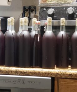 Five Star - 6022b_ - Star San - 32 Ounce - High Foaming Sanitizer 32 Fl Oz (Pack of 1) San- 32 oz 29 71oSOM3bSCL