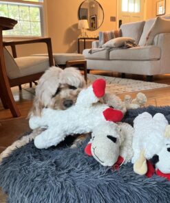 Multipet Plush Dog Toy, Lambchop, 10", White/Tan, Small 10" 34 71oShckFelL