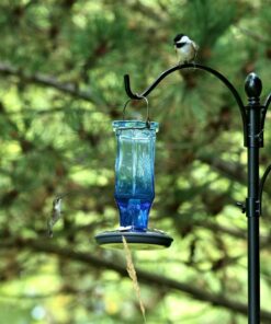 Perky-Pet Sapphire Starburst Vintage Glass Hummingbird Feeder 8129-2 18 71oT4w3r9sL