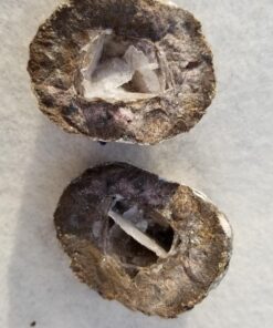 Large Size Break Open Geodes Kit 12 Whole Geodes By Ancient Treasure Adventures 75 71oTFMVaN7L