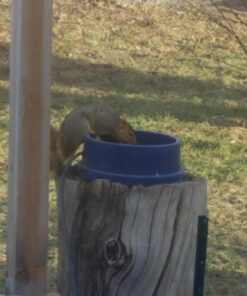 K&H Pet Products Thermal-Bowl Outdoor Heated Dog Bowl Blue 96 Ounces 38 71oTkEdFefL