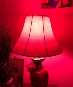 Philips Hue White and Color Ambiance A19 60W Equivalent Dimmable LED Smart Bulb (1 Bulb Compatible with Amazon Alexa Apple HomeKit and Google Assistant) 58 71oY23q2OcL