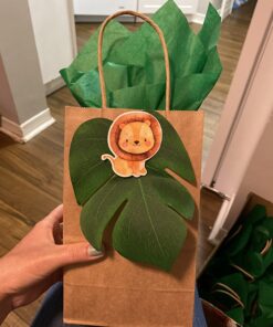 Juvale 24-Pack Small Gift Bags with Handles, 5.3x3x8.5 Inch Bulk Kraft Paper Material Brown Bags, Use for Birthday Party Favors, Reusable Grocery, Retail Shopping, Business, Goodies 5.3 x 3 x 8.5 (Pack of 24) 29 71oZ75dJMKL