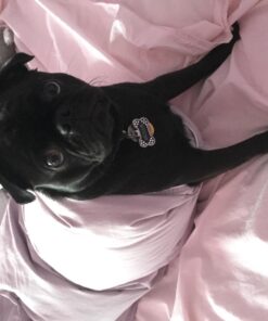 GOOD 'N' FUN Triple Flavor Chews, Rawhide Treats for Dogs 6 Count (Pack of 1) 28 71oa51cIwuL