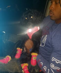 WINSOON Dog Australia Boots Pet Antiskid Shoes Winter Warm Skidproof Sneakers Paw Protectors 4-pcs Set (Size 4, Pink) Size 4 38 71oaphlmASL