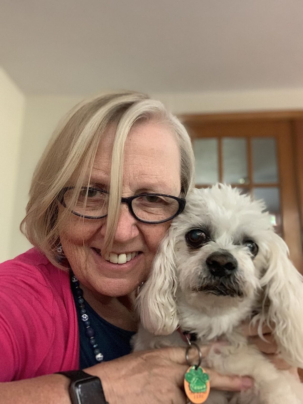 Oxyfresh Premium Pet Dental Care Solution Pet Water Additive Best Way