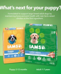IAMS Smart Puppy Large Breed Dry Dog Food with Real Chicken, 30.6 lb. Bag 30.6 Pound (Pack of 1) 36 71oex8UGTqL