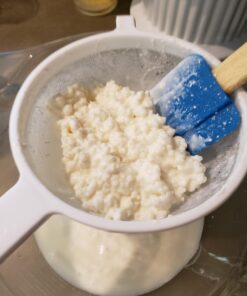 Live Milk Kefir Grains - Live Probiotic Culture Mr. and Mrs. Kefir Instructions 27 71ohEHB1e5L