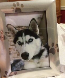 Skyway Puppy Dog Paw Print Pet Photo Picture Frame Silver - 5 x 7 19 71ohJTNfqYL