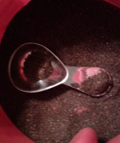 RSVP International Coffee Scoop Collection, 2-Tablespoon, Compact, Stainless Steel Comfort Handle, 2-Tbsp 27 71oiy1zoHvL