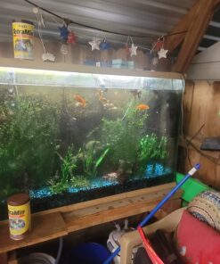 Tetra 16106 Min Tropical Flakes, Nutritionally Balanced Fish Food, 7.06-Ounce 7.06-ounce (Pack of 1) 31 71omAH2gL