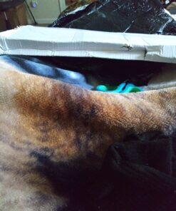 MASTER USA 2312B Sai KnifeBlack 21.5-Inch 13 71ompPcbgL