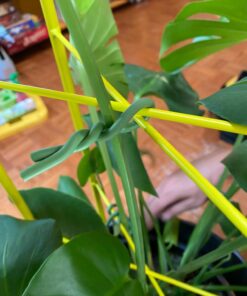 Luster Leaf 16025 Rapiclip Soft Wire Tie 839, 16' Light Duty, Green Soft Wire Tie, Green, 16’ 14 71onesTMjyL