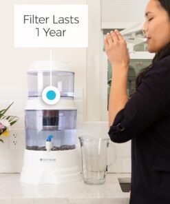 Ceramic Pre-filter Replacement by Santevia | Designed for Santevia's Gravity Water System | Removes Particles From Water | 0.3 Micron Pore Size 9 71ooxFBQ74S