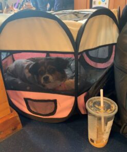 PET4FUN PN935 29" Portable Pet Puppy Dog Cat Animal Playpen Yard Crates Kennel w/Premium 600D Oxford Cloth, Tool-Free Setup, Carry Bag, Removable Security Mesh Cover/Shade, 2 Storage Pockets(Pink) Upgrade Version: 29" x 29" x 17" Medium Pink 53 71osyvw3YfL