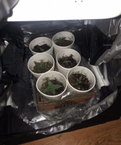 General Hydroponics RapidStart, Plant Food, 1-0.5-1, 125 mL. 39 71otGMWQTxL