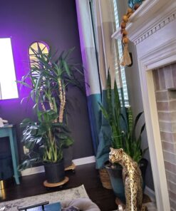 FoxFarm Ocean Forest Potting Soil, 1.5 cu ft, brown/a (FX14000) 27 71otamco5vL