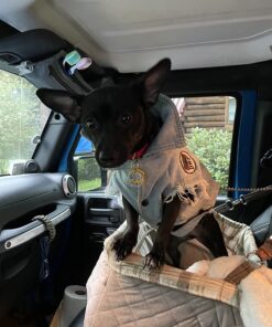 Nylabone Natural Nubz Edible Dog Chews, 22 Count 22 Pack Large - 30+ lbs. 22 71ozPrbxSUL