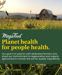 MegaFood Blood Builder - Iron Supplement Clinically Shown to Increase Iron Levels without Side Effects - Iron Supplement for Women with Vitamin C, Vitamin B12 and Folic Acid - Vegan - 90 Tabs 90 Count (Pack of 1) Standard Packaging 27 71ozW8itHuL 1