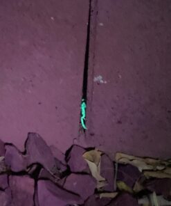 TERRO Scorpion Killer Aerosol Spray T2101 1 Pack 45 71p1atNDc0L