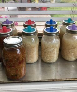 Masontops Pickle Pipes - Airlock Fermentation Lids - Fermentation Kit for Small Mouth Mason Jar Sauerkraut & Pickle Kit - Fermentation Jar Not Included Small Mouth 4PK 21 71p2N0o2MdL