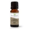 Plant Therapy Cedarwood Virginian Essential Oil 10 ml (1/3 oz) 100% Pure, Undiluted, Therapeutic Grade 0.34 Fl Oz (Pack of 1) 20 71p3su0NO4L