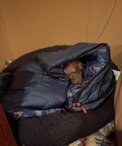 Coleman Kids 45°F Sleeping Bag, Comfortable Youth Sleeping Bag for Sleepovers & Camping, Fits Children up to 5ft 5in Tall, Lightweight and Warm Sleeping Bag for Indoor/Outdoor Use, Machine Washable Multi 11 71p50uXgdVL