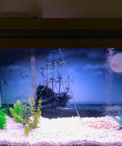 GloFish aquarium Gravel 5 Pounds, White, Complements GloFish Tanks (29022) White Frost 40 71p6ZBqB9sL