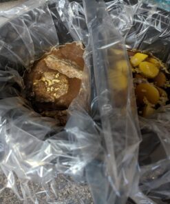 Proctor Silex Double Dish Slow Cooker with 6qt Crock and Dual 2.5qt Nonstick Insert to Cook Two Meals at Once, Dishwasher Safe Pot & Lid, Silver (33563) 38 71p6n3 hE1L