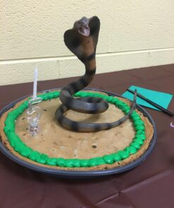 Safari Ltd. Cobra Figurine - Detailed 36" Flexible, Plastic Model Figure - Fun Educational Play Toy for Boys, Girls & Kids Ages 18 Months+ 37 71p7t8bPSBL