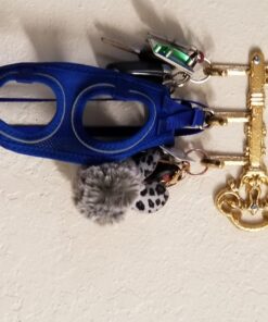 Comfify Decorative Wall Mounted Skeleton Key Holder | Vintage Key with 3 Hooks | Wall Mounted | Rustic Cast Iron | 7.9 x 4.1 |- with Screws and Anchors Rust brown 32 71p9Hi4qmGL