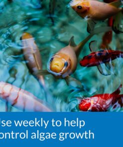 API POND ALGAEFIX Algae control 2.5-Gallon Bottle Pond Treatment 8 71p9IIvJcvL