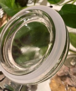 HIC Silicone Replacement Gasket Seals, Fits Regular Mouth Canning Jars, 3.75 x 3.75-Inches, Set of 4 26 71p9bU6Yb1L