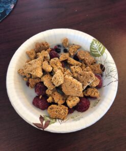 Julian Bakery® ProGranola® Cereal | Vanilla Cinnamon | 12g Protein | Paleo | 2 Net Carbs | Gluten-Free | Grain-Free | 15 Servings 1.22 Pound (Pack of 1) 46 71p9zJzsEQL