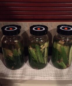 Nourished Essentials Fermentation Kit - 3 Pack Airlock Fermentation Lids for Wide Mouth Mason Jars with Vacuum Sealer - Air Lock for Fermenting Kimchi, Sauerkraut, Pickle and Kombucha 42 71pGGrQyDQL