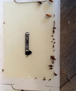 Catchmaster Mouse & Insect Super Glue Traps 30PK, Mouse Traps Indoor for Home, Extra Strength Sticky Pest Control Adhesive Tray for Catching Bugs, Rats & Rodents, Non Toxic Bulk Pre-Baited Glue Boards 45 71pN6mhR6L