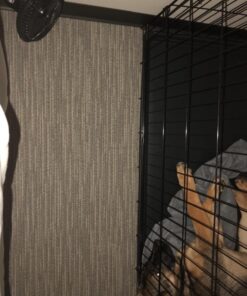 Comfort Zone 6 INCH - 2 Speed - Adjustable Tilt, Whisper Quiet Operation Clip-On-Fan with 5.5 Foot Cord and Steel Safety Grill, Black 30 71pN9cuFCGL