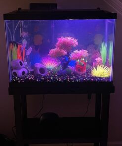 Penn-Plax Spongebob Squarepants Officially Licensed Aquarium Ornament – Spongebob’s Pineapple House – Medium 5.25" Pineapple House 32 71pOafP2ZZL