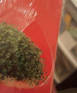 Chia Pet Zombie Pet with Seed Pack, Decorative Pottery Planter, Easy to Do and Fun to Grow, Novelty Gift, Perfect for Any Occasion Zombie Restless Arm 22 71pObh52GcL