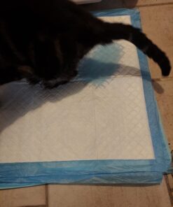 Amazon Basics Dog and Puppy Pee Pads with Leak-Proof Quick-Dry Design for Potty Training, Standard Absorbency, Regular Size, 22 x 22 Inches, Pack of 100, Blue & White Unscented Regular (100 Count) 37 71pOj0dTKXL 1