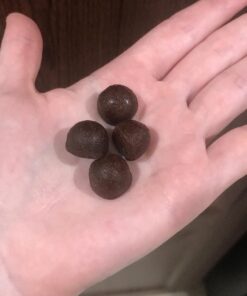 Garden of Life Organics Prenatal Gummies Multivitamin with Vitamin D3, B6, B12, C & Folate for Healthy Fetal Development – Organic, Non-GMO, Gluten-Free, Vegan, Berry Flavor, 30 Day Supply 24 71pQHjQrHqL