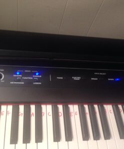 Alesis Recital – 88 Key Digital Piano Keyboard with Semi Weighted Keys, 2x20W Speakers, 5 Voices, Split, Layer and Lesson Mode, FX and Piano Lessons Piano Only 49 71pRryNNroL