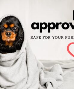 Perfect Fit SoftHeat - Queen Micro-Fleece Heated Blanket - Luxuriously Warm & Soft Electric Blanket, Patented Low-Voltage Technology (Grey, Queen) 13 71pbY4P jQL 8