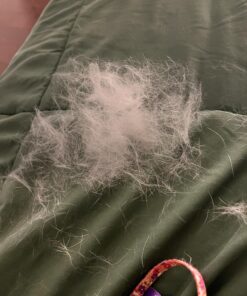 SleekEZ Original Deshedding Grooming Tool for Dogs, Cats & Horses - Undercoat Brush for Short & Long Hair - Painlessly Remove 95% of Loose Hair, Fur & Dirt - Easy to Clean - USA Made - (2.5 inch) 2.5 Inch (Pack of 1) 21 71pd7fjvZlL