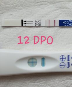 Pregmate 100 Ovulation and 20 Pregnancy Test Strips Predictor Kit 120 Piece Set 35 71peiWamTxL